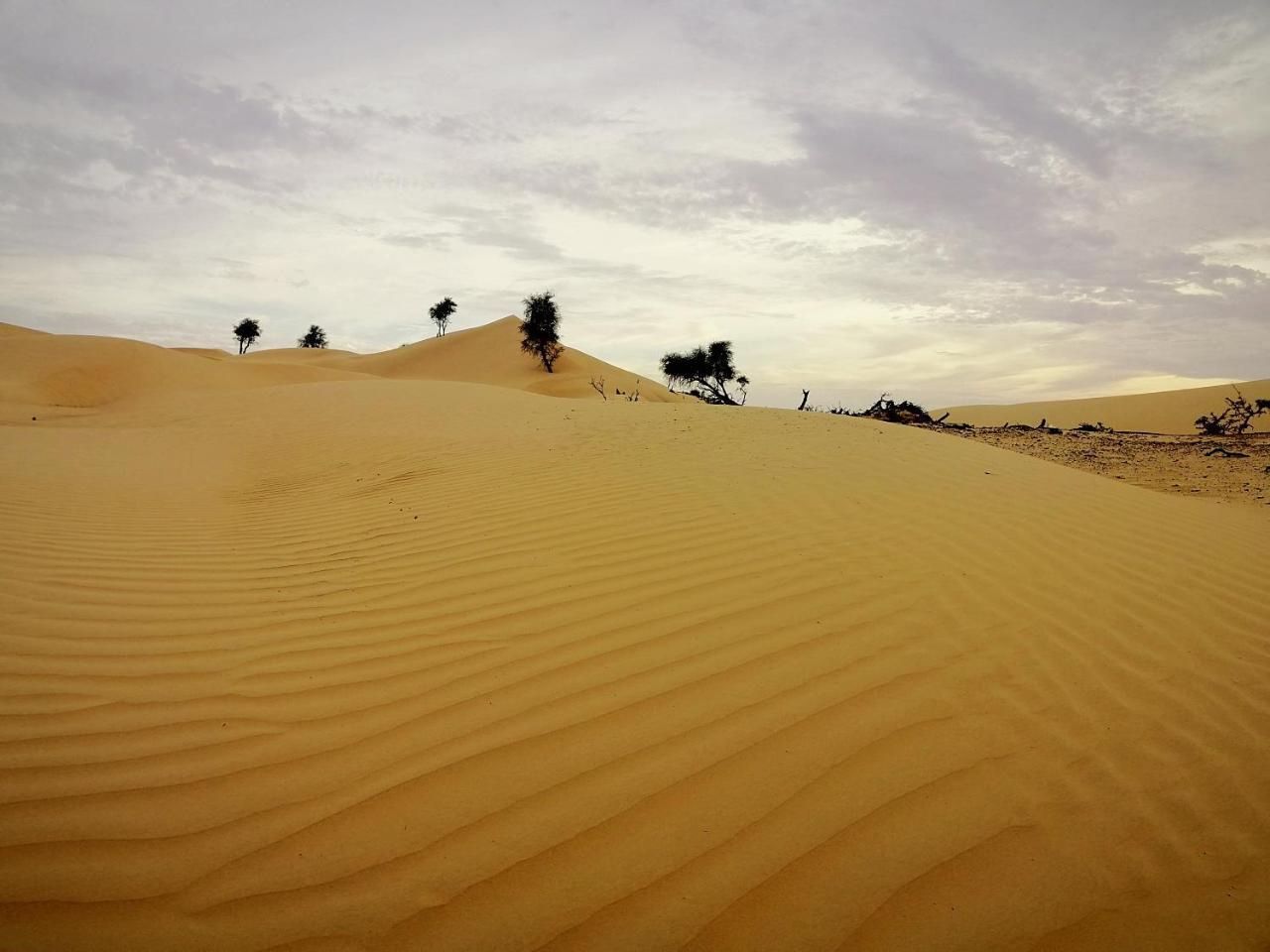 Queen Desert Camp Fulayj al Masha'ikh Exteriér fotografie